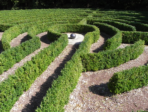 Bild von einem Labyrinth